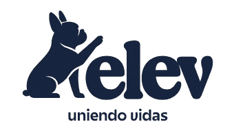 KELEV Logo